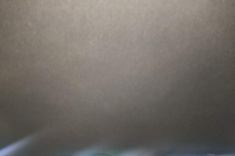 Used BYD Seagull 2025 305 km Free Version Headliner