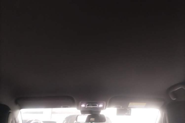 Used BYD Seagull 2025 Intelligent Driving Version 305 km Dynamic Edition Headliner