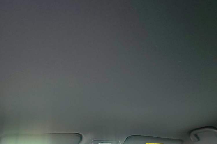 Used BYD Seagull 2025 305 km Free Version Headliner