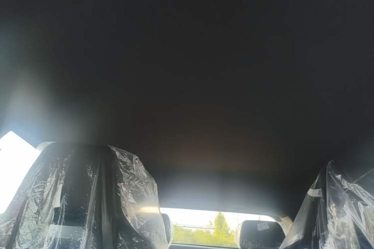 Used BYD Seagull 2025 Intelligent Driving Version 305 km Dynamic Edition Headliner
