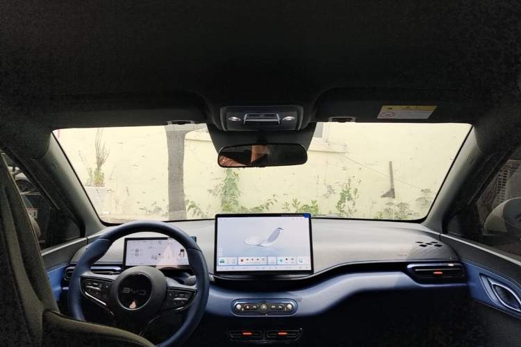 Used BYD Seagull 2025 Smart Drive Version 305 km Freedom Edition Headliner