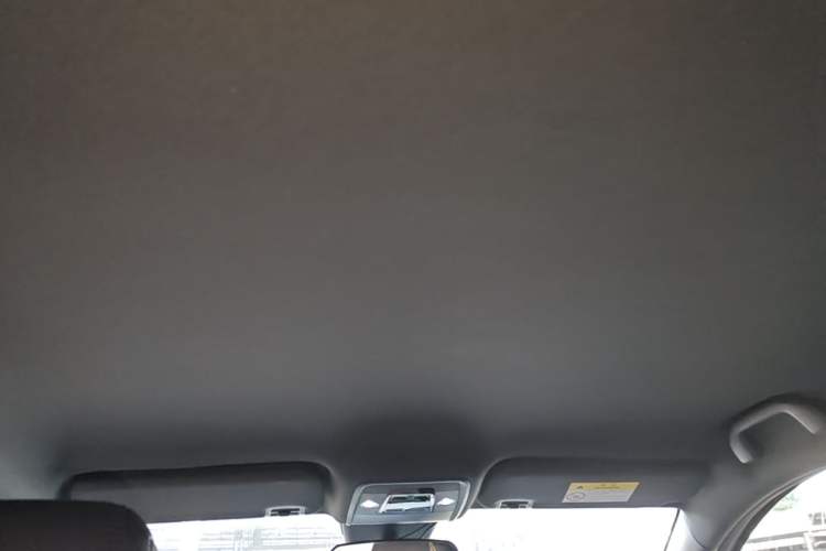 Used BYD Seagull 2025 Intelligent Driving Version 305 km Dynamic Edition Headliner