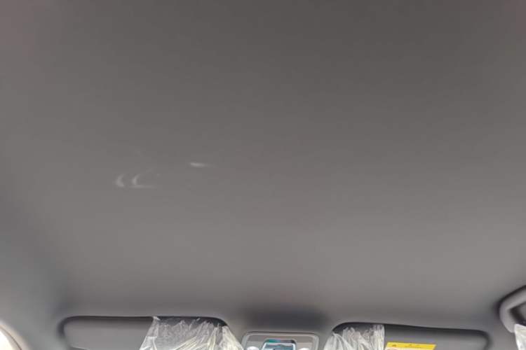 Used BYD Seagull 2025 305 km Free Version Headliner