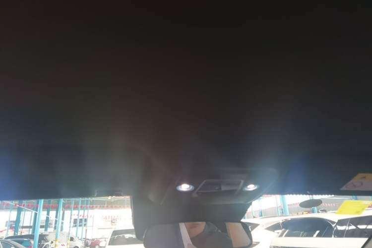 Used BYD Seagull 2025 Smart Drive Version 305 km Freedom Edition Headliner