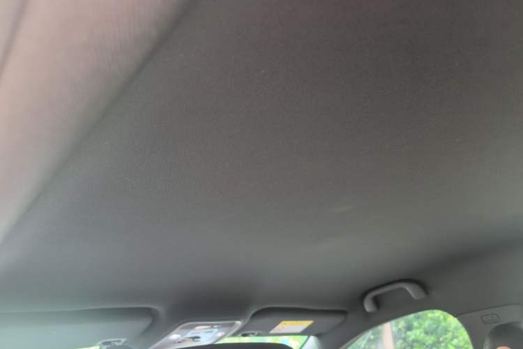 Used BYD Seagull 2025 Smart Drive Version 305 km Freedom Edition Headliner