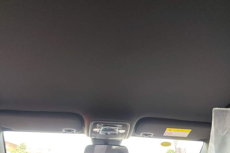 Used BYD Seagull 2025 Intelligent Driving Version 305 km Dynamic Edition Headliner