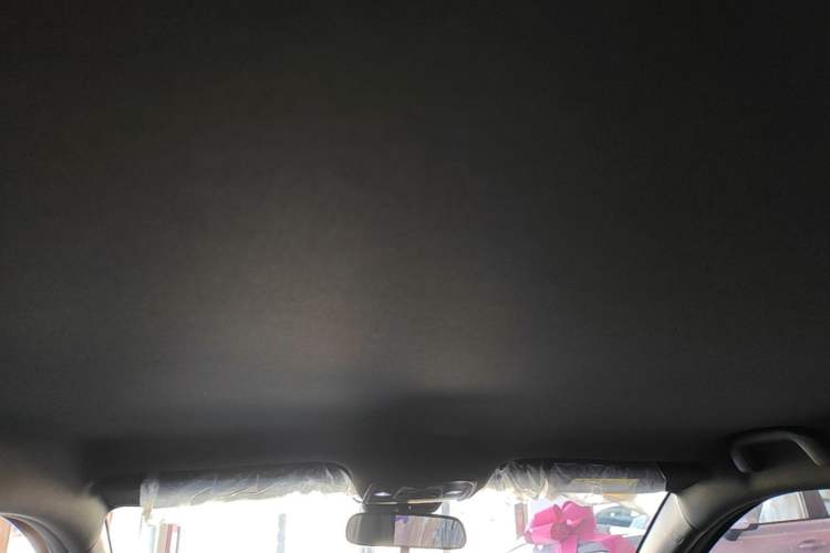 Used BYD Seagull 2025 Intelligent Driving Version 305 km Dynamic Edition Headliner