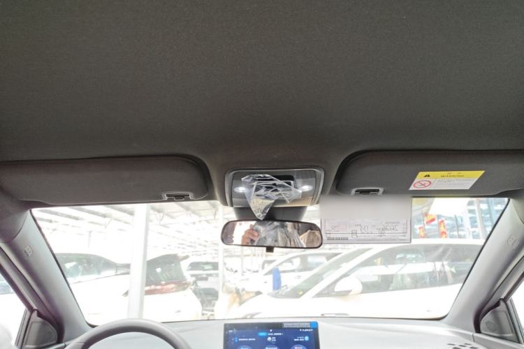 Used BYD Seagull 2025 Intelligent Driving Version 305 km Dynamic Edition Headliner
