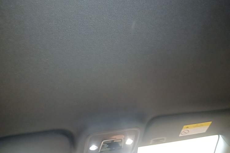 Used BYD Seagull 2025 Smart Drive Version 305 km Freedom Edition Headliner