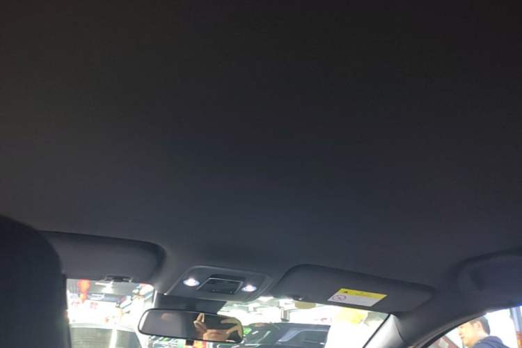Used BYD Seagull 2025 Intelligent Driving Version 305 km Dynamic Edition Headliner