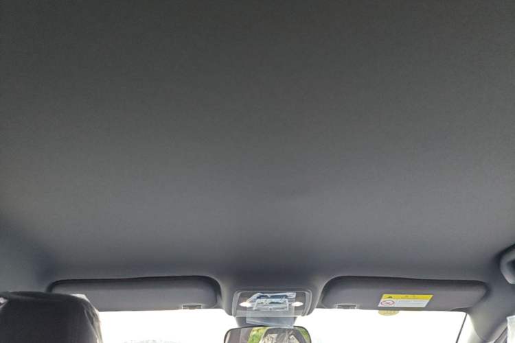 Used BYD Seagull 2025 Intelligent Driving Version 305 km Dynamic Edition Headliner