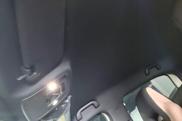 Used BYD Seagull 2025 Intelligent Driving Version 305 km Dynamic Edition Headliner