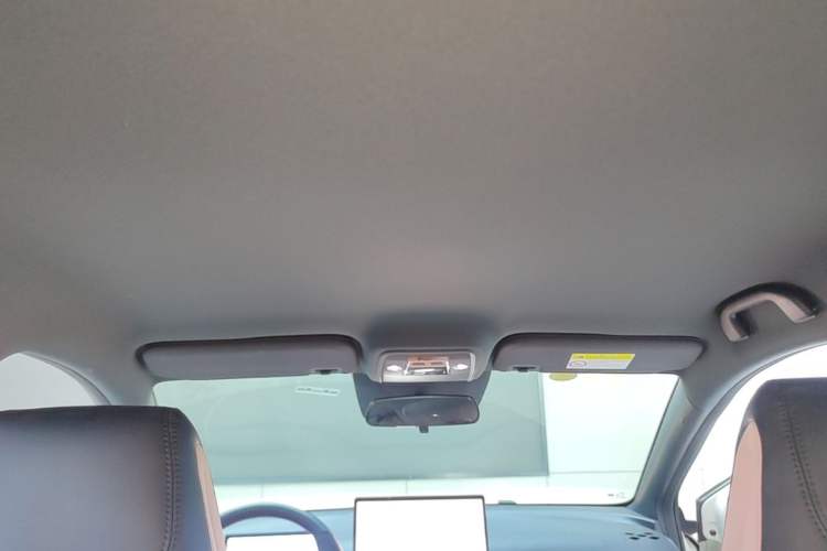 Used BYD Seagull 2025 Smart Drive Version 305 km Freedom Edition Headliner