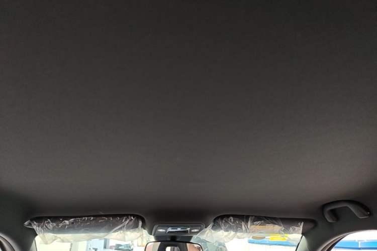 Used BYD Seagull 2025 Intelligent Driving Version 305 km Dynamic Edition Headliner