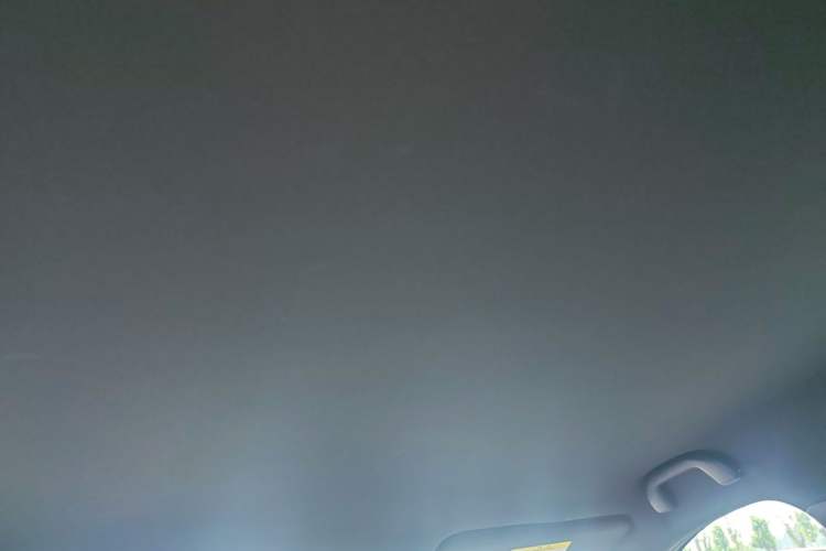 Used BYD Seagull 2025 Intelligent Driving Version 305 km Dynamic Edition Headliner