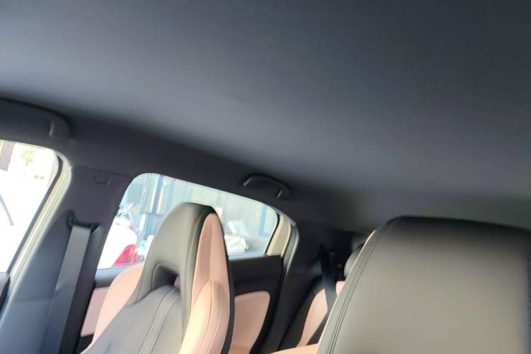 Used BYD Seagull 2025 Intelligent Driving Version 305 km Dynamic Edition Headliner