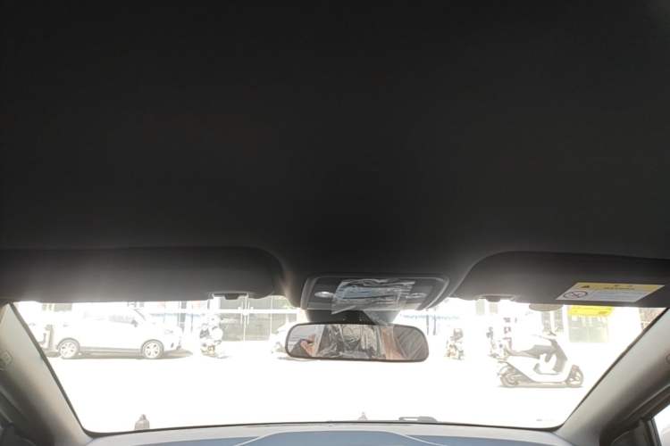 Used BYD Seagull 2025 Intelligent Driving Version 305 km Dynamic Edition Headliner