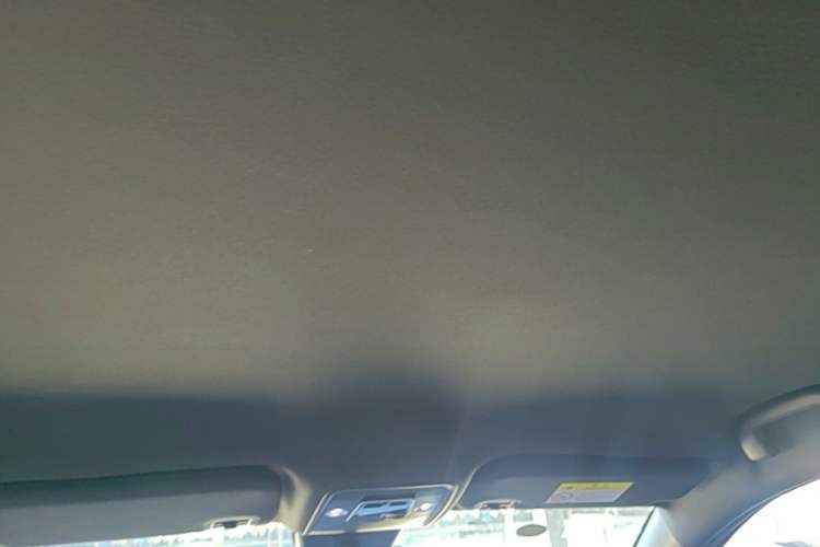 Used BYD Seagull 2025 Intelligent Driving Version 305 km Dynamic Edition Headliner