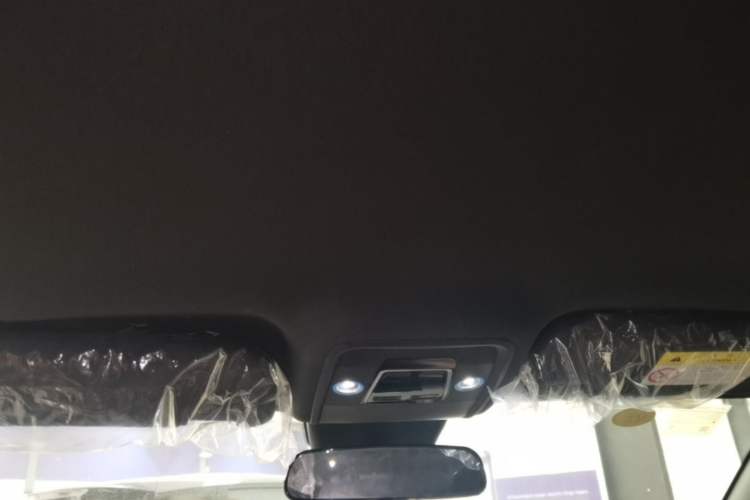 Used BYD Seagull 2025 Intelligent Driving Version 305 km Dynamic Edition Headliner