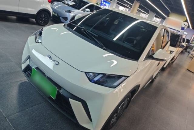 Used BYD Seagull 2025 305 km Free Version