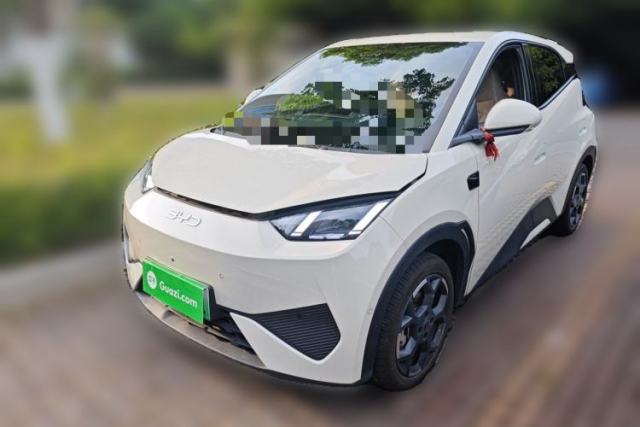 Used BYD Seagull 2025 Smart Drive Version 305 km Freedom Edition
