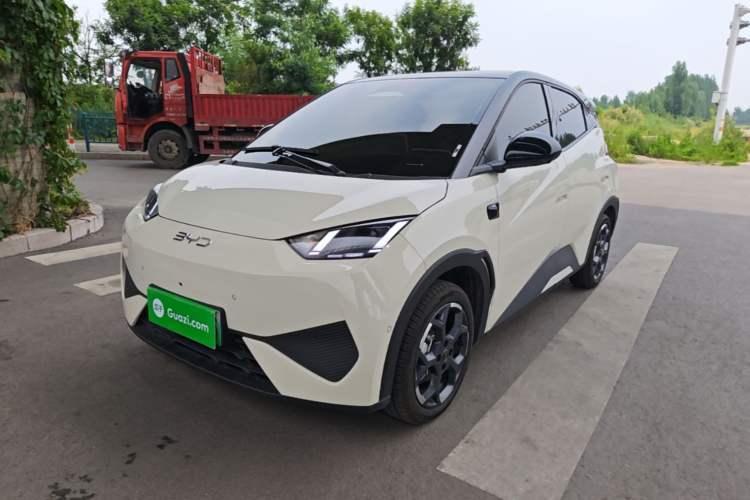 Used BYD Seagull 2025 Smart Drive Version 305 km Freedom Edition Guazi used car, China used car export, Used car for sale, Used  cars, Cheapest cars for sale