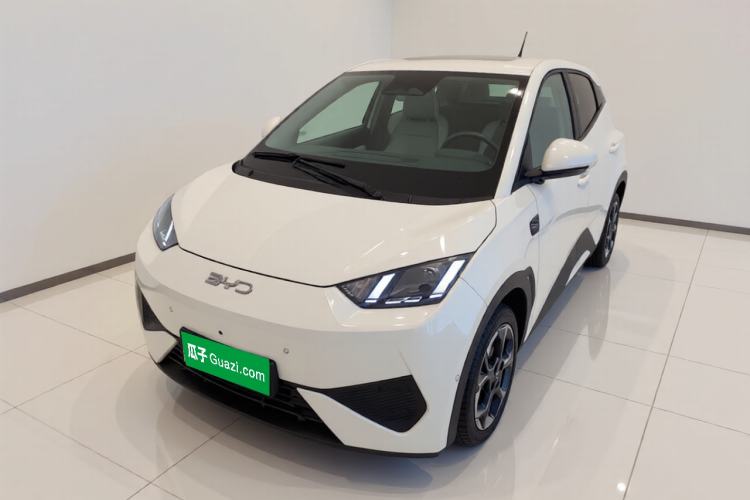 BYD Seagull 2025 Smart Drive Version 305 km Freedom Edition