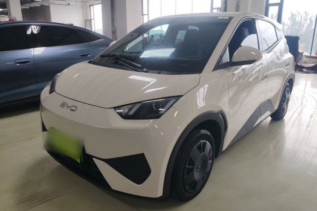 BYD Seagull 2025 305km Active Version usado