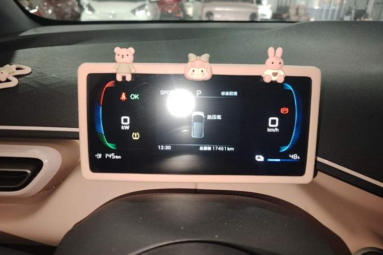 Used BYD Seagull 2025 305 km Free Version Instrument Cluster