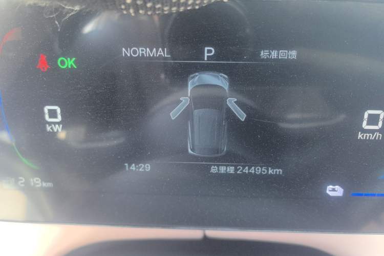 Used BYD Seagull 2025 305km Active Version Instrument Cluster