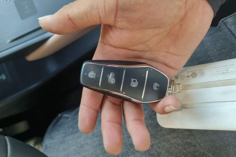 Used BYD Seagull 2025 Smart Drive Version 305 km Freedom Edition Interior 1