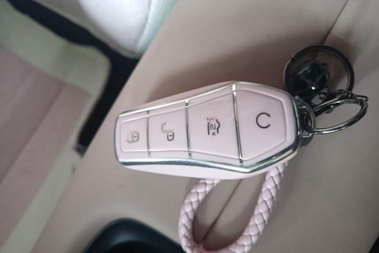 Used BYD Seagull 2025 305 km Free Version Interior 1