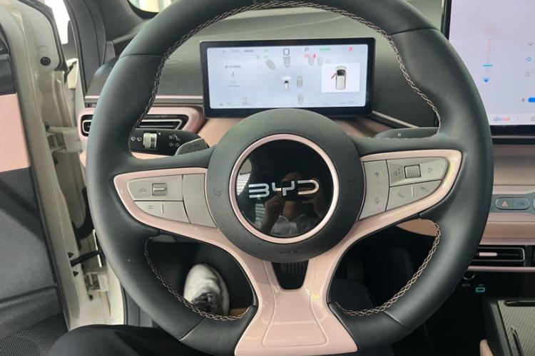 Used BYD Seagull 2025 Smart Drive Version 305 km Freedom Edition Interior 2