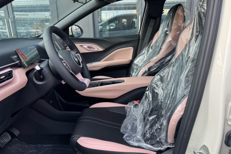 Used BYD Seagull 2025 Intelligent Driving Version 305 km Dynamic Edition Interior 3