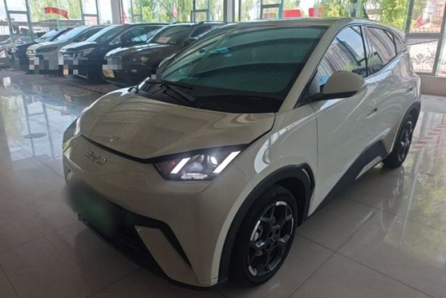 Used BYD Seagull 2025 305 km Free Version