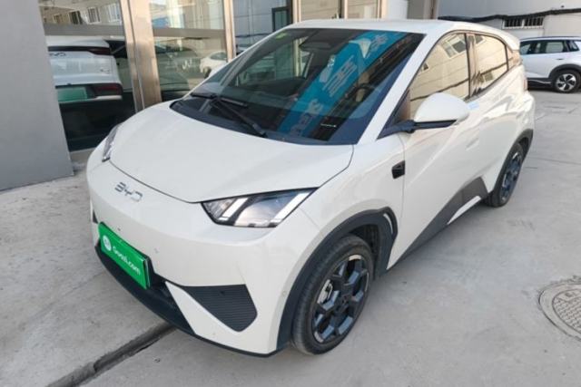 Used BYD Seagull 2025 Smart Drive Version 305 km Freedom Edition
