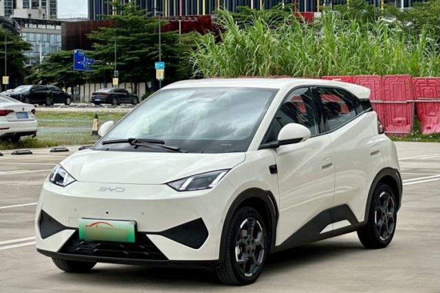 Used BYD Seagull 2025 Smart Drive Version 305 km Freedom Edition