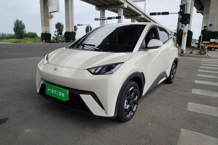 Used BYD Seagull 2025 305 km Free Version Guazi used car, China used car export, Used car for sale, Used  cars, Cheapest cars for sale