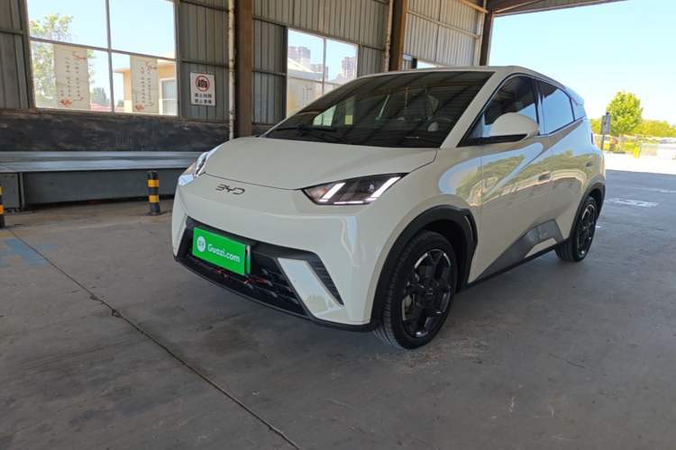 Used BYD Seagull 2025 305 km Free Version Guazi used car, China used car export, Used car for sale, Used  cars, Cheapest cars for sale