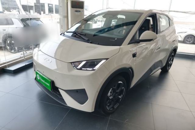 Used BYD Seagull 2025 Smart Drive Version 305 km Freedom Edition