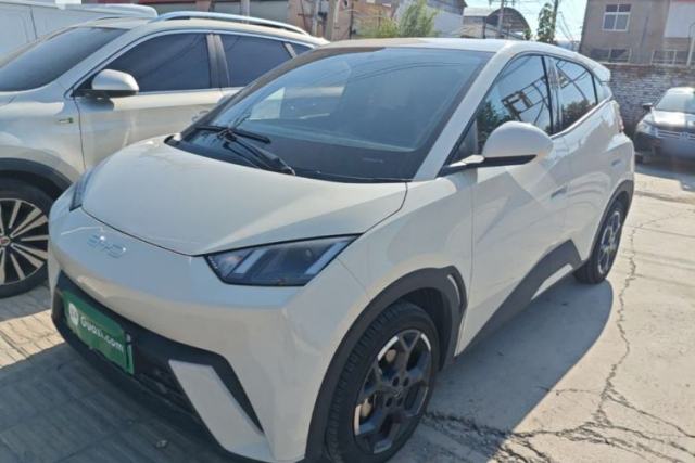 Used BYD Seagull 2025 305 km Free Version