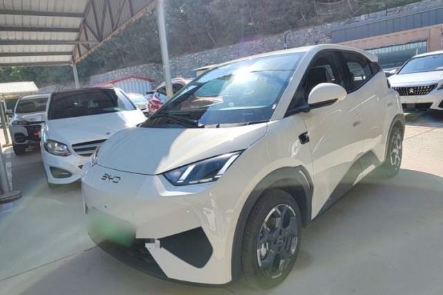 Used BYD Seagull 2025 Smart Drive Version 305 km Freedom Edition