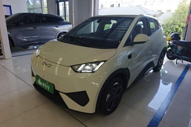 Used BYD Seagull 2025 Smart Drive Version 305 km Freedom Edition