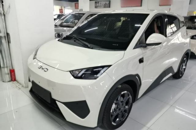 Used BYD Seagull 2025 Smart Drive Version 305 km Freedom Edition