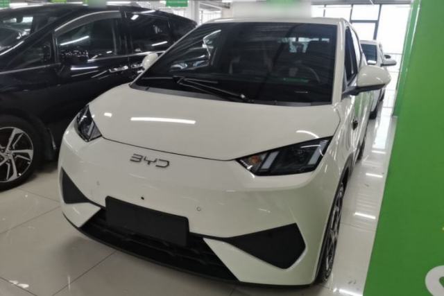 Used BYD Seagull 2025 Smart Drive Version 305 km Freedom Edition