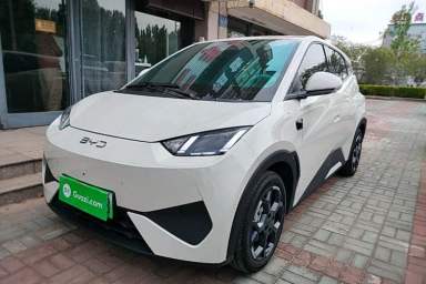 Used BYD Seagull 2025 Smart Drive Version 305 km Freedom Edition