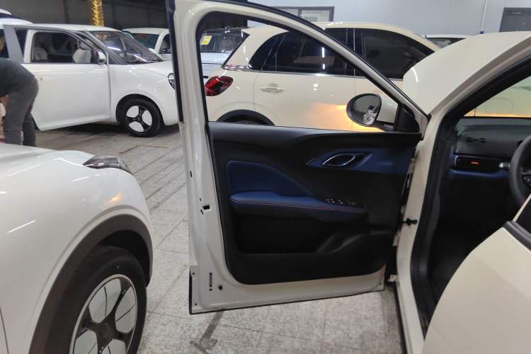Used BYD Seagull 2025 305 km Free Version Left Front Door Interior