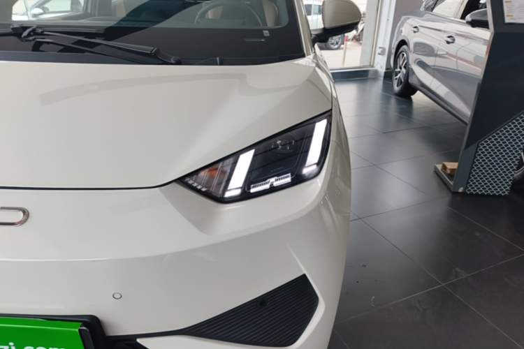 Used BYD Seagull 2025 Smart Drive Version 305 km Freedom Edition Left Front Headlight