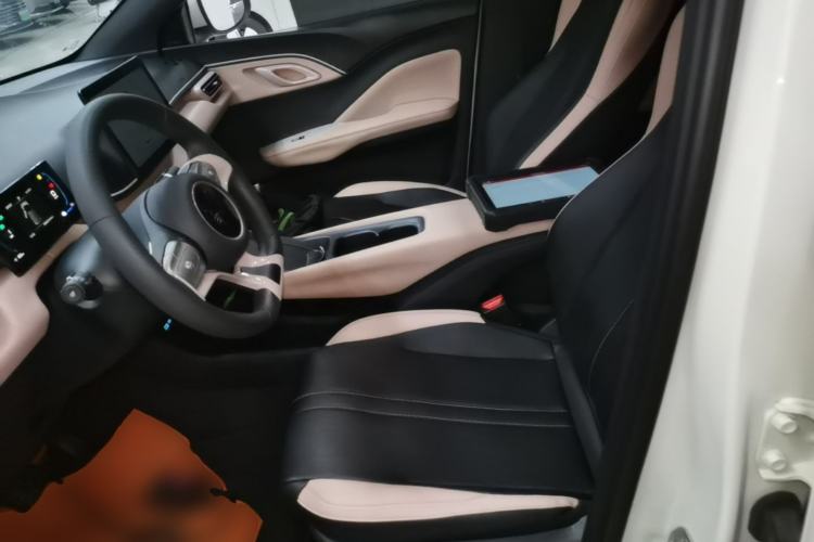 Used BYD Seagull 2025 305km Active Version Left Front Seat