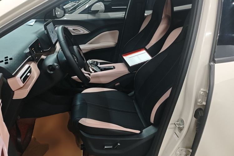 Used BYD Seagull 2025 305 km Free Version Left Front Seat